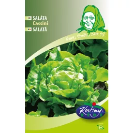 Cassini fejessaláta vetőmag, 3 g