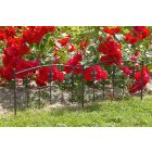 Royal Border fém ágyásszegély, 0,4 x 1 m