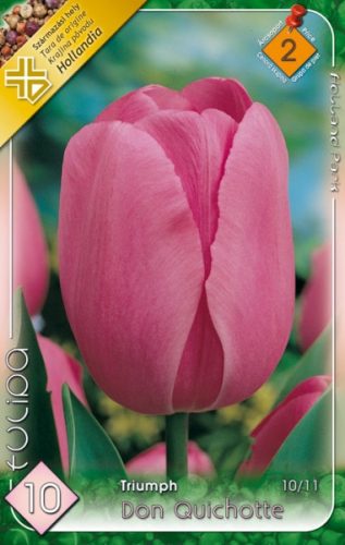 Don Quichotte tulipán virághagyma, rózsaszín 