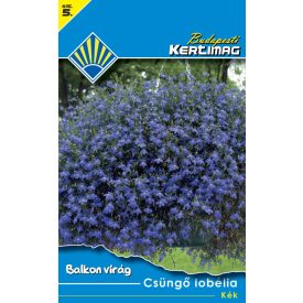 Csüngő lobélia vetőmag, kék