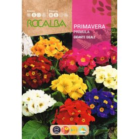 Kerti kankalin vetőmag, színkeverék