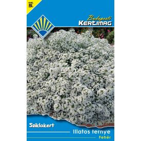 Illatos ternye vetőmag, fehér