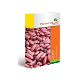 Alex szárazbab vetőmag, 50 g