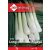 Long White Koshigaya hagyma vetőmag