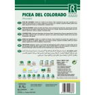 Ezüstfenyő vetőmag