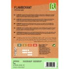 Pillangófa (tűzvirágfa) vetőmag