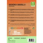 Sárga trombita cserje vetőmag