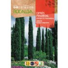 Európai ciprus vetőmag