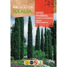 Európai ciprus vetőmag