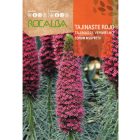 Kígyószisz vetőmag