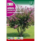 Kínai selyemmirtusz vetőmag