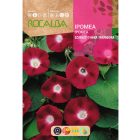 Hajnalka vetőmag, piros