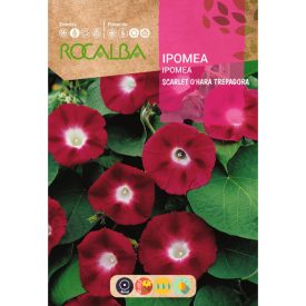 Hajnalka vetőmag, piros