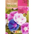 Törpe hajnalka vetőmag, színkeverék, 10 g