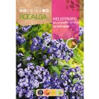 Vaníliavirág (Heliotropium peruvianum) vetőmag