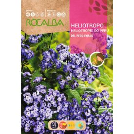 Vaníliavirág (Heliotropium peruvianum) vetőmag