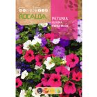 Balkonpetúnia vetőmag, színkeverék
