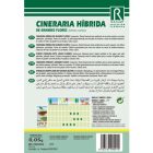 Kerti cinerária vetőmag