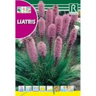 Liatris díszcsorba vetőmag
