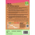 Mignon dália vetőmag