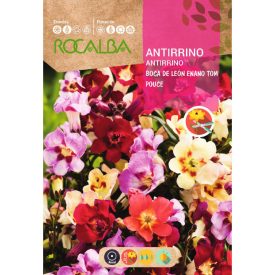 Oroszlánszáj vetőmag, alacsony, 2 g