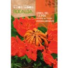 Afrikai tulipánfa vetőmag