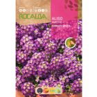 Fülesternye vetőmag, 2 g, lila 