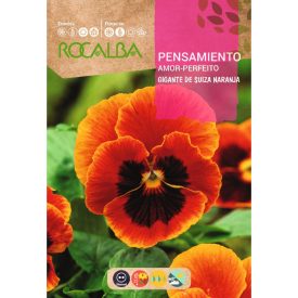 Nagyvirágú árvácska vetőmag, narancssárga