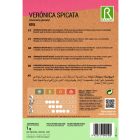 Macskafarkú veronika vetőmag, kék