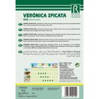 Macskafarkú veronika vetőmag, kék