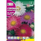 Őszirózsa vetőmag, margaréta virágú 