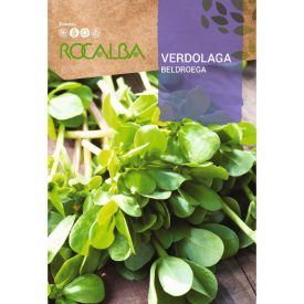 Salátaporcsin vetőmag