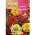 Évelő kokárdavirág vetőmag, színkeverék, 3 g