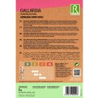 Évelő kokárdavirág vetőmag, színkeverék, 3 g