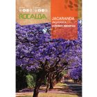 Mimózalevelű dzsakaranda vetőmag