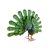 Peacock páva dísz