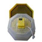 C5-FHP keltető gép 