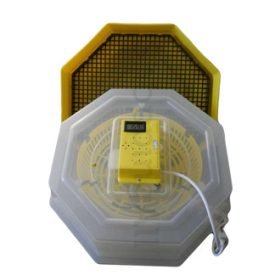 C5-FHP keltető gép 