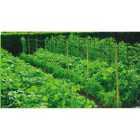 Trellinet PP (U-170/10) uborkaháló BOP71/10C