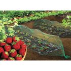 Birdnet HDPE extrudált madárháló, rombusz szemformájú