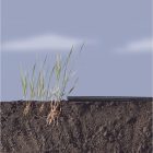 Anti-Herbas Geotex talajtakaró, 80 g/m2, PP 