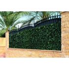 Trelliwillow Hedra kihúzható fűzfa apácarács műanyag borostyán levelekkel