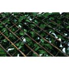 Trelliwillow Hedra kihúzható fűzfa apácarács műanyag borostyán levelekkel