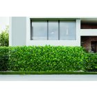 Extensy Green kihúzható apácarács, szintetikus levelekkel