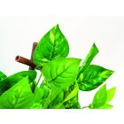 Extensy Green kihúzható apácarács, szintetikus levelekkel