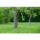 Tree Trunk Guard műanyag fatörzsvédő