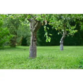 Tree Trunk Guard műanyag fatörzsvédő