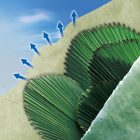 Ouatex zöld átteleltető növényvédő, 1 m x 10 m 