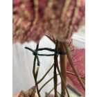 Jute kerti zsineg, 50 m 