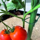 Jute kerti zsineg, 50 m 